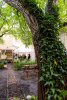 svatebni-foto-filipFOTOGRAFcz-nahled-3366.jpg